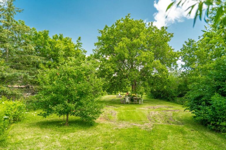 Chaleureuse propriété ancestrale de 1865 à SaintZéphirindeCourval