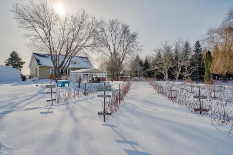 Accueillante maison ancestrale à SainteBrigided'Iberville en